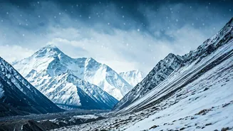 North India Braces for Cold Snap: IMD Forecasts & Weather Bee Insights