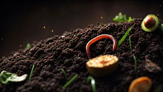 Turn Everyday Waste Into Healthy Soil