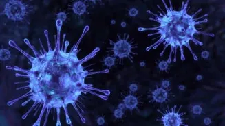 UCSF study links uncoordinated immune response to long COVID persistence