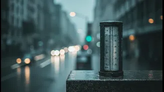 BMC Rain Alerts Should Shape Your Day