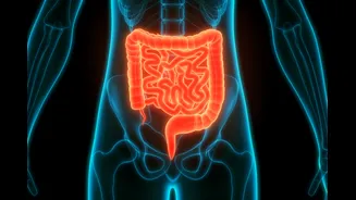 Coloproctologista ensina proteger o intestino após o consumo de álcool