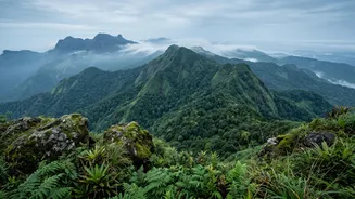 Why Assessing Ecosystem Services In Kerala Is Essential For Long-Term Environmental Stability