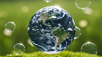 Forests Cover A Third Of Earth Yet Restoration Efforts Are Lagging