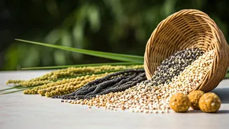 Millet Snacks Bring Heritage To Modern Munching