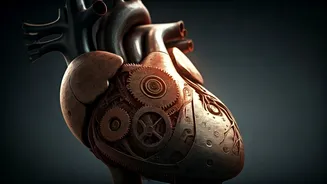 Navigating Parkinson's: A Comprehensive Guide to Understanding and Managing the Disease