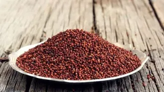 Why health enthusiasts are switching to finger millet