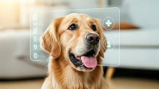 Dog Wellness Plans Are Entering The Mainstream