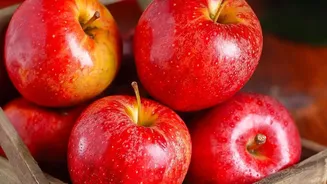 How Logistics Modernisation Prevents Waste In Kashmir’s High-Volume Apple-Crushing Season