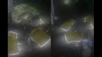 At Least 2 Dead, 16 Injured After Tempo Plunges Into Gorge Near Nainital