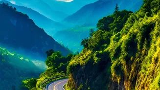 Indian Monsoon Road Trips: Essential Checks Before Driving Uphill