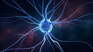 Reclaim Your Focus: 4 Powerful Meditation Challenges for a Sharper Mind