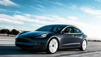 The Gurugram Video Offers a Glimpse of Tesla's Perception Challenge