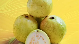 With Winter Among The Stronger Seasons For The Fruit: Prayagraj Guavas Are Known For Their Distinct Aroma And Sweet Flesh