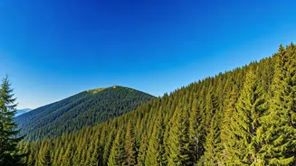 Escape Delhi's Air: Top 10 Hill Stations for Fresh Air