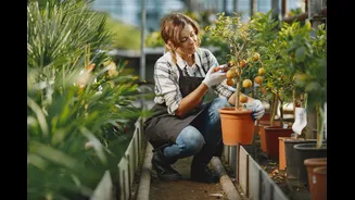 Fruit Trees That Thrive with Minimal Care