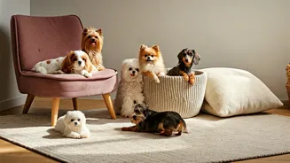 7 Adorable Pocket-Sized Dog Breeds Perfect for Cozy Homes