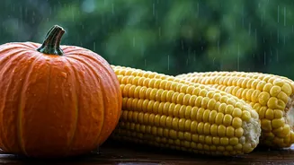 Corn And Pumpkin Are Monsoon’s Soft Wellness Flex