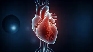 Beyond Blood Pressure: Uncovering Hidden Heart Blockages