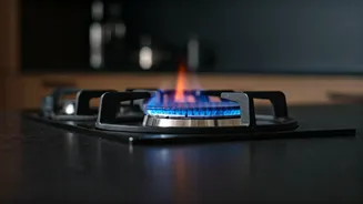 Green Hydrogen Cookstove: India's Innovative Leap Towards Clean Energy Cooking