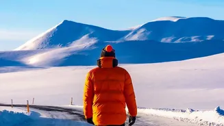 Where Drivers Can Experience Scenic Snow-Lined Mountain Roads Across Himachal Pradesh