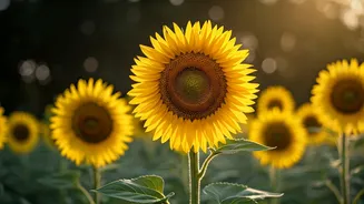 Related Stories banner