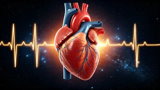 Daily Astrological Predictions: November 6, 2025