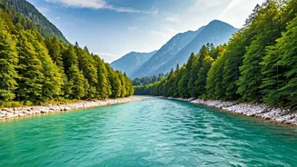 Related Stories banner