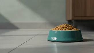 Decide Late Workdays Early When Organising Backup Pet Feeding Routines