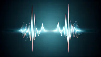 Understanding Heart Rate Variability: Your Body's Secret Stress Gauge