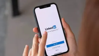LinkedIn layoffs: Over 600 employees hit as company cuts engineering and marketing roles
