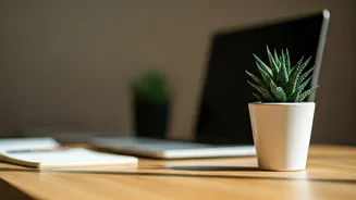 Your Home Desk Needs A Tiny Planter