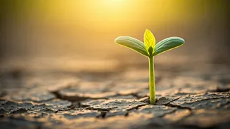 Nurturing Little Victories: How Small Achievements Fuel Children's Motivation