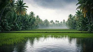Kerala Travel Is A Slow Monsoon Mood