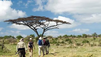 Why walking safaris offer a deeper travel experience