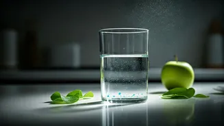 Reducing Microplastic Risk: Actionable Tips From National Study