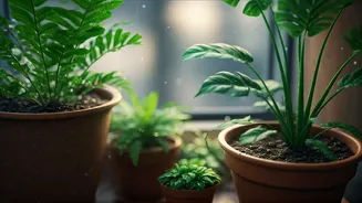 July Plant Parents Need Mosquito Awareness Too