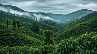 Fresh Mountain Air Gives Coorg Its Monsoon Magic