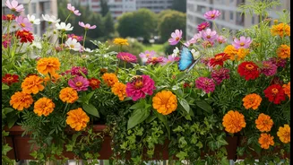 Bring Nature Closer With A Pollinator-Friendly Balcony