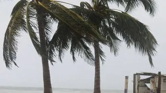 Climate change boosted Hurricane Polo more than El Nino