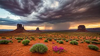 Monsoon Miles Are Calling Travellers