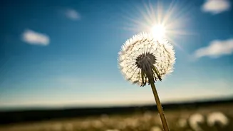 Farthest Sun Day Still Brings Summer Heat