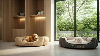 Monsoon Travel? Check Out Luxury Animal Boarding Options