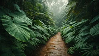 Off-Season Kerala Is Quietly Winning Budget Travellers