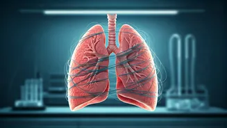 Beyond the Cough: Unmasking the Mental Health Crisis in India's TB Patients