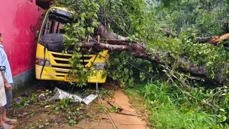 Monsoon Fury: Tree Falls On Moving School Bus In Karnataka, Six-Year-Old Girl Killed