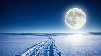 Related Stories banner