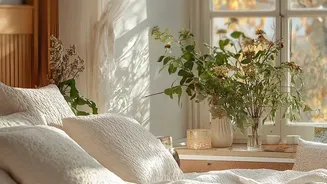 Can Morning Sunlight Help You Wake Without an Alarm