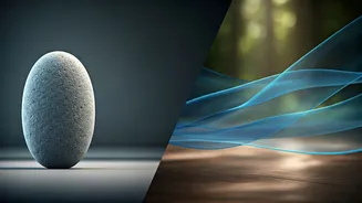 Unlocking Knee Stability: Wall Sits vs. Tai Chi for Joint Health