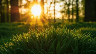 Stay Young After 30: 5 Proven Biohacks