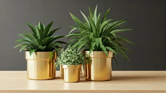 Give Dull Work Desks Organic Soul Housing Brass Planters